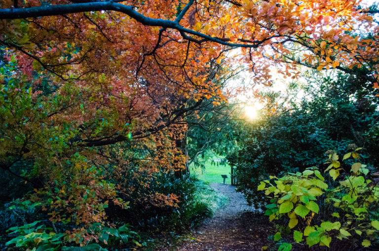 Fall pathway