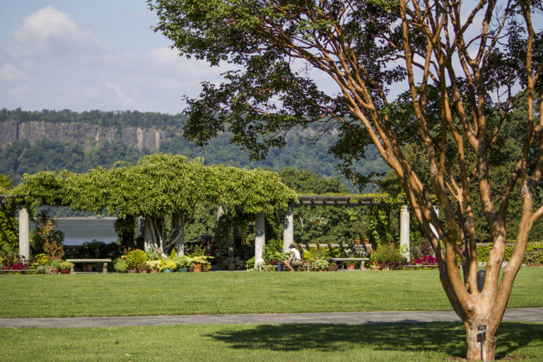 Gardener at pergola