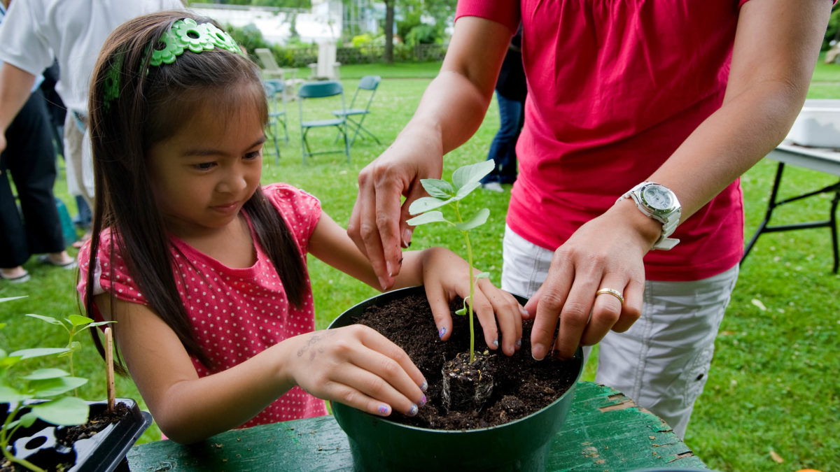 family-art-project-a-growing-season-wave-hill