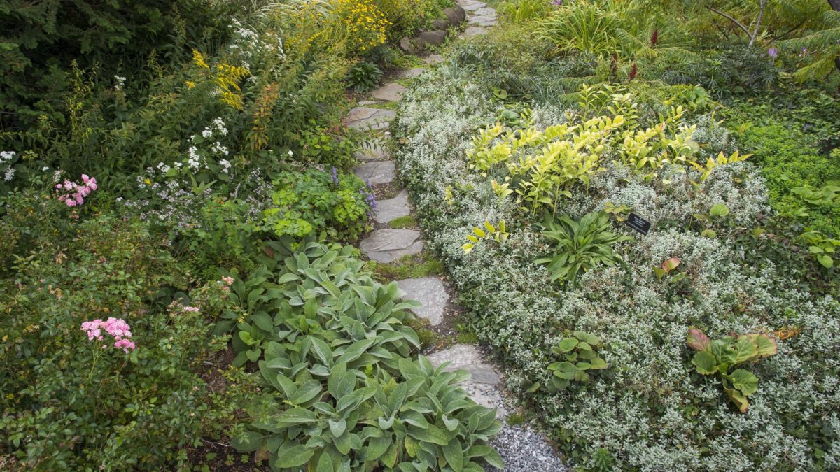 Walks with the Gardeners: Garden Pathways–SOLD OUT - Wave Hill