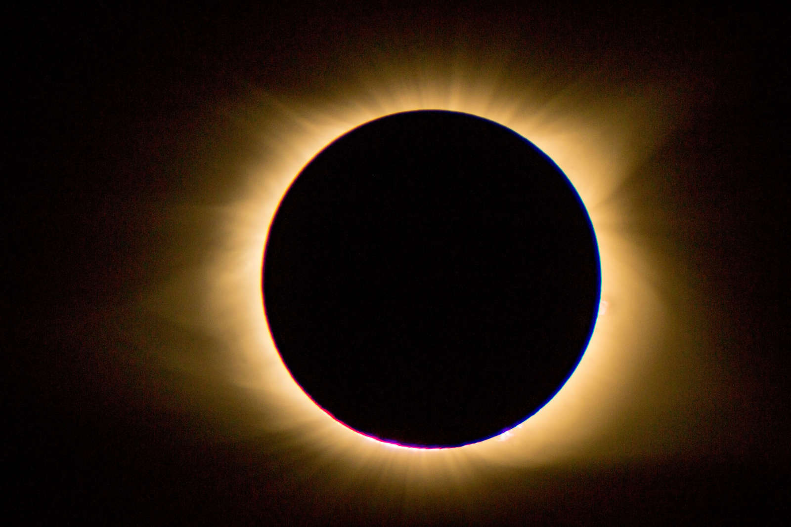 Solar Eclipse Viewing Party - Wave Hill