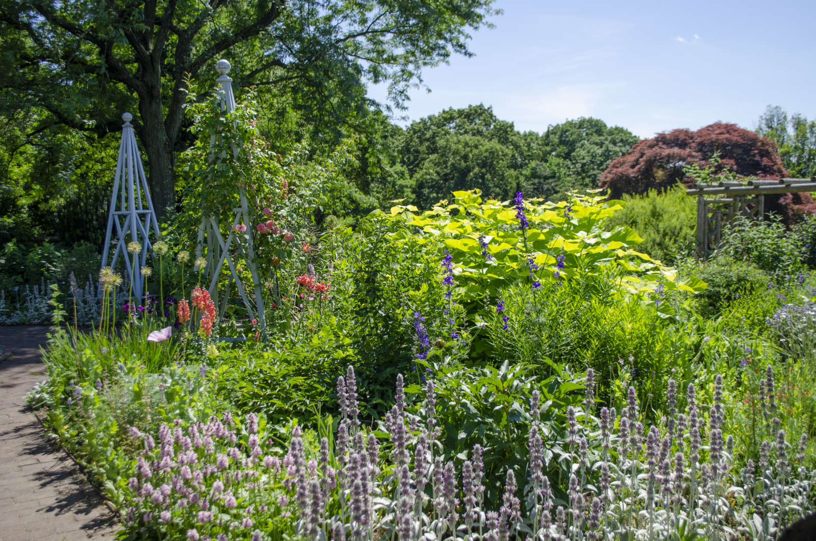 Public Garden Highlights Walk - Wave Hill