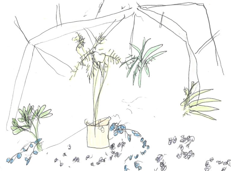 Line drawing of plants in Wave Hill's greenhouse. Small clusters of blue and purple flowers foreground the scene, with potted and hanging leafy tropical plants taking center stage. An arch of greenhouse windows and roofline frames the image at the top.