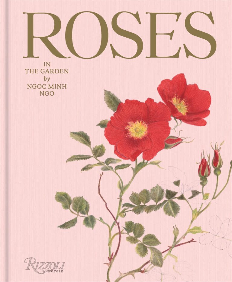 Roses NMN Cover