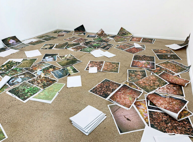 Schmidt Jennifer Deciduous Leaves Turn 2021 installation