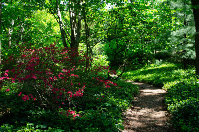 Wave hill A Labyrinth in the Garden credit Wave Hill