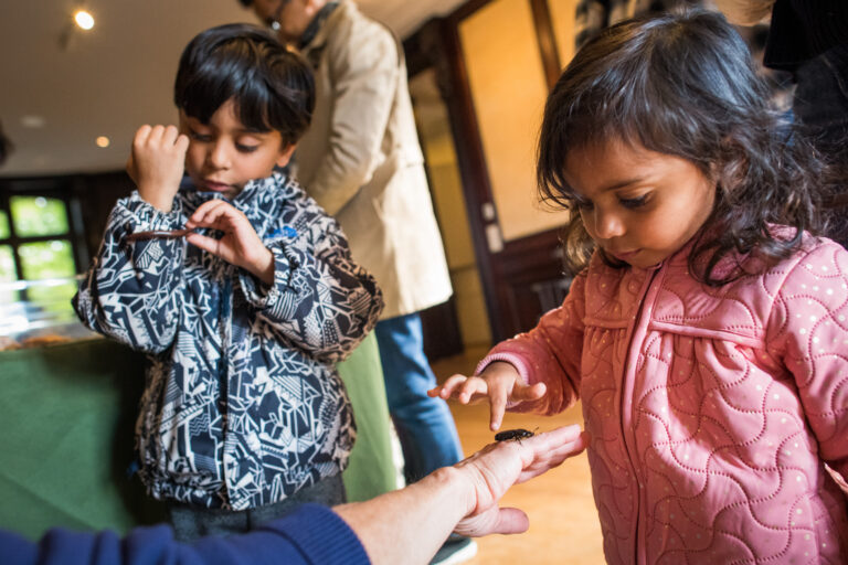 Wave hill Close Encounters Scavengers and Decomposers Petting Zoo credit Joshua Bright