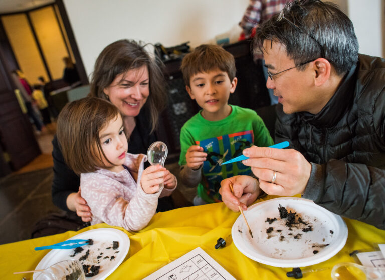 Wave hill Owl Pellet Dissection credit Joshua Bright